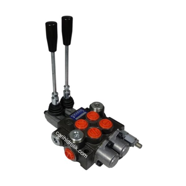 Hydraulic Valve Nucleo DP40/2