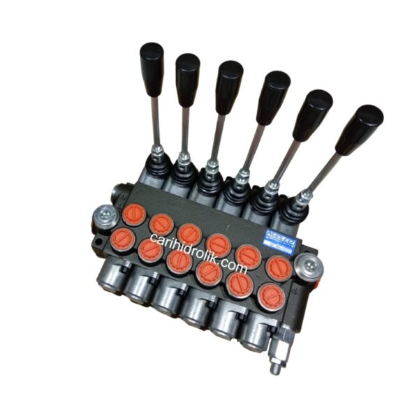 Hydraulic directional valve Nucleo DP40/6-J