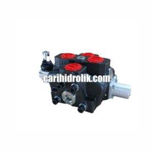 directional valve nucleo dp180