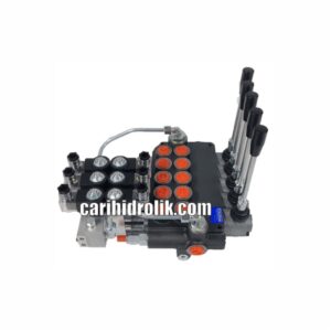 Hidrolik Control Valve Electro Nucleo DP80/5