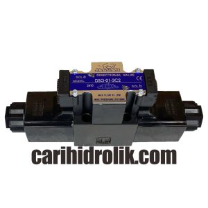 jaguar dsg-01-3C2 valve hidrolik type terminal box